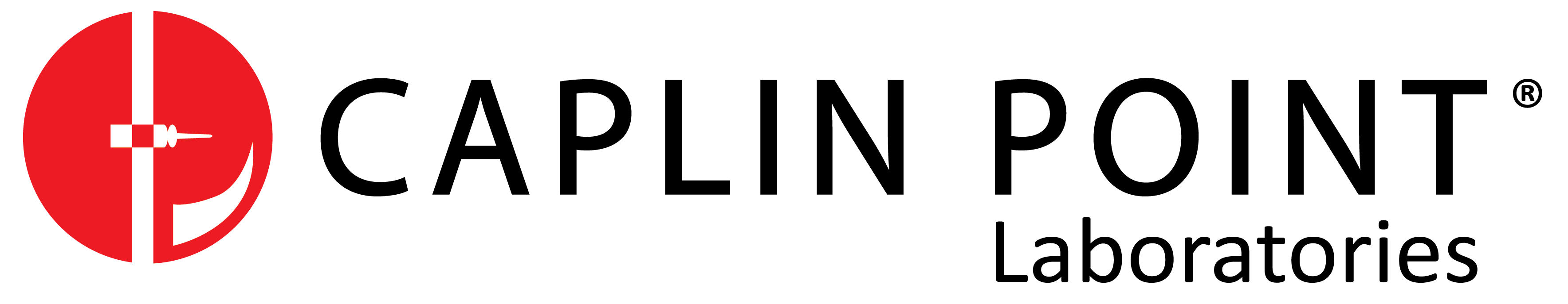caplinpointlogo